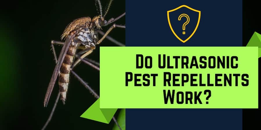 Do Ultrasonic Pest Repellents Work?
