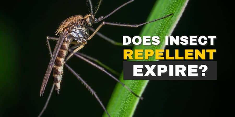 Does Insect Repellent Expire?