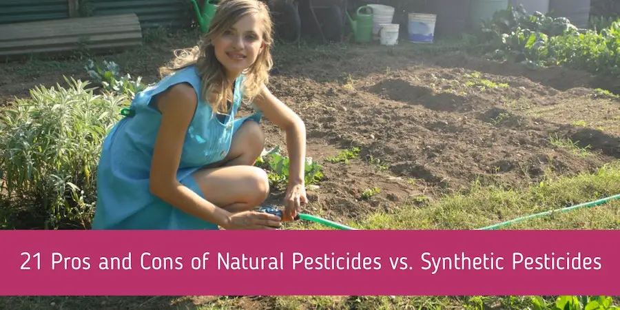 21 Pros and Cons of Natural Pesticides vs. Synthetic Pesticides