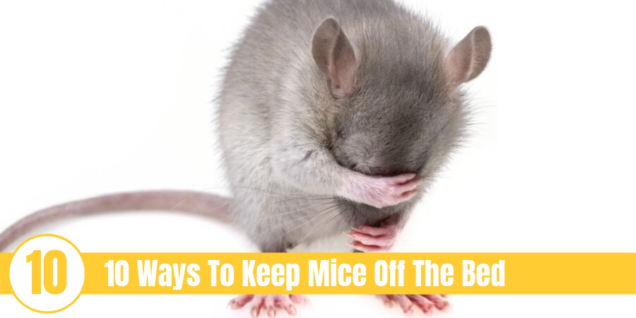 mouse covering face with text "10 Ways To Keep Mice Off The Bed"
