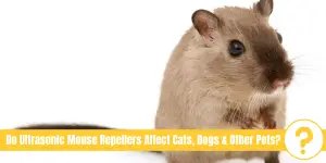 picture of mouse with text "Do Ultrasonic Mouse Repellers Affect Cats, Dogs & Other Pets?"