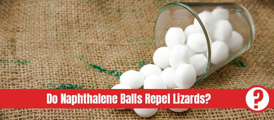 Naphthalene balls in glass with the text: do naphthalene balls repel lizards?