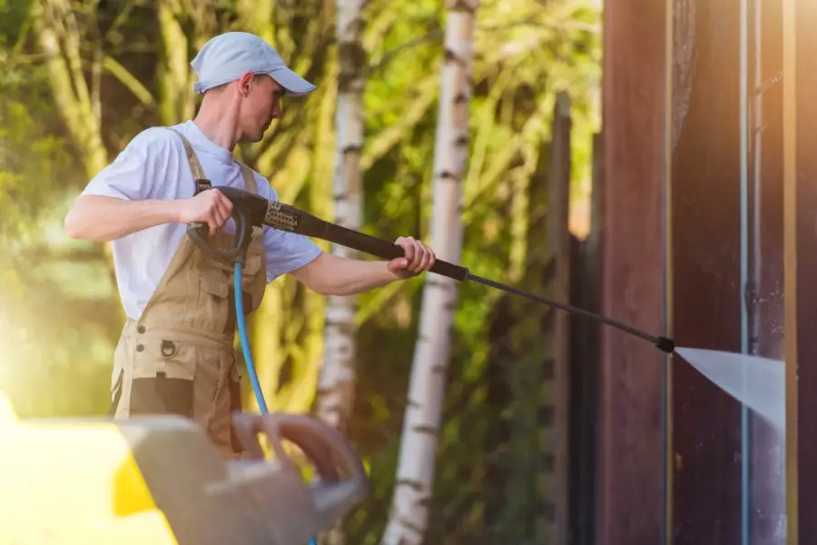 Man spraying around the house to repel lizards