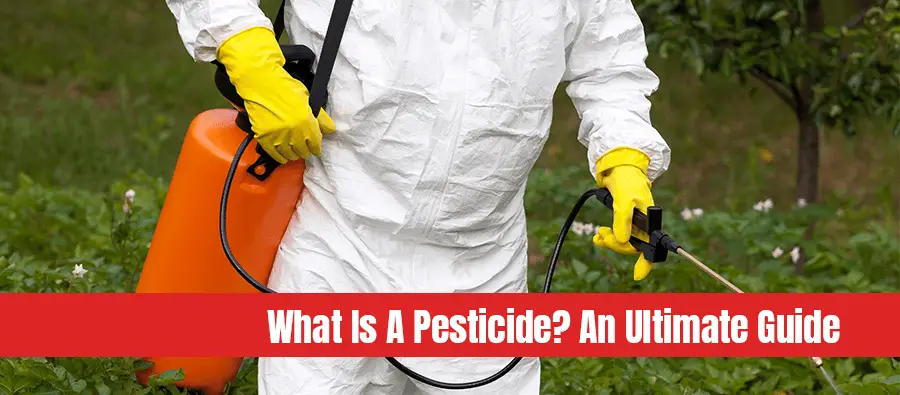 Man spraying pesticides in vegetable garden with text: What is a pesticide an ultimate guide