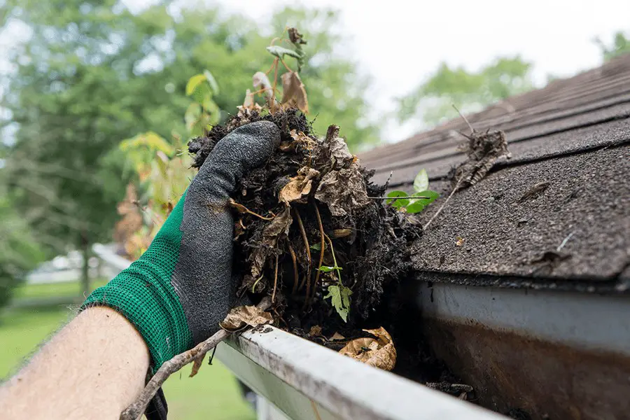 Cleaning gutters with gloves, removing lots of debris