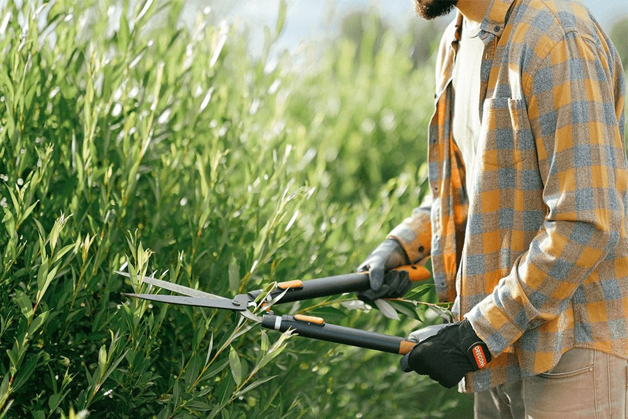 Close-up shot of a person using loppers to trim leaves