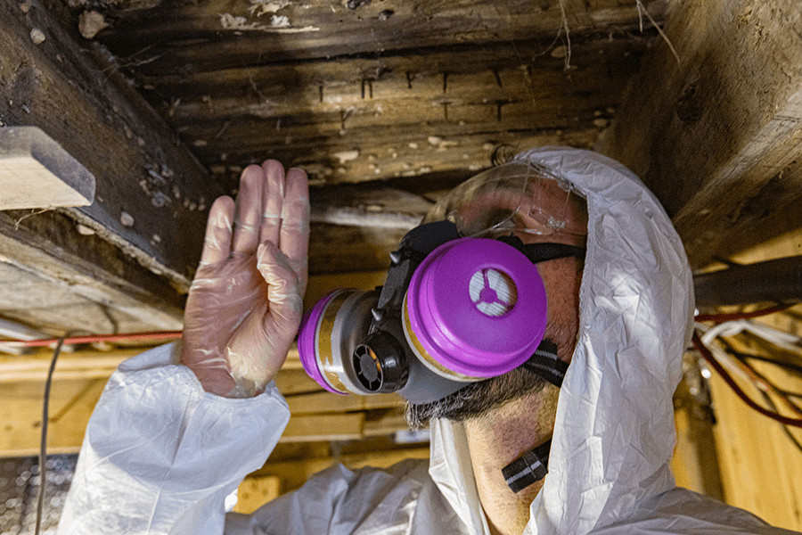 A closeup view on the head of a man wearing a protective boiler suit and respirator, inspecting wooden structural elements